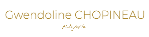 gwendoline chopineau - provaltis- communauté d'entrepreneur